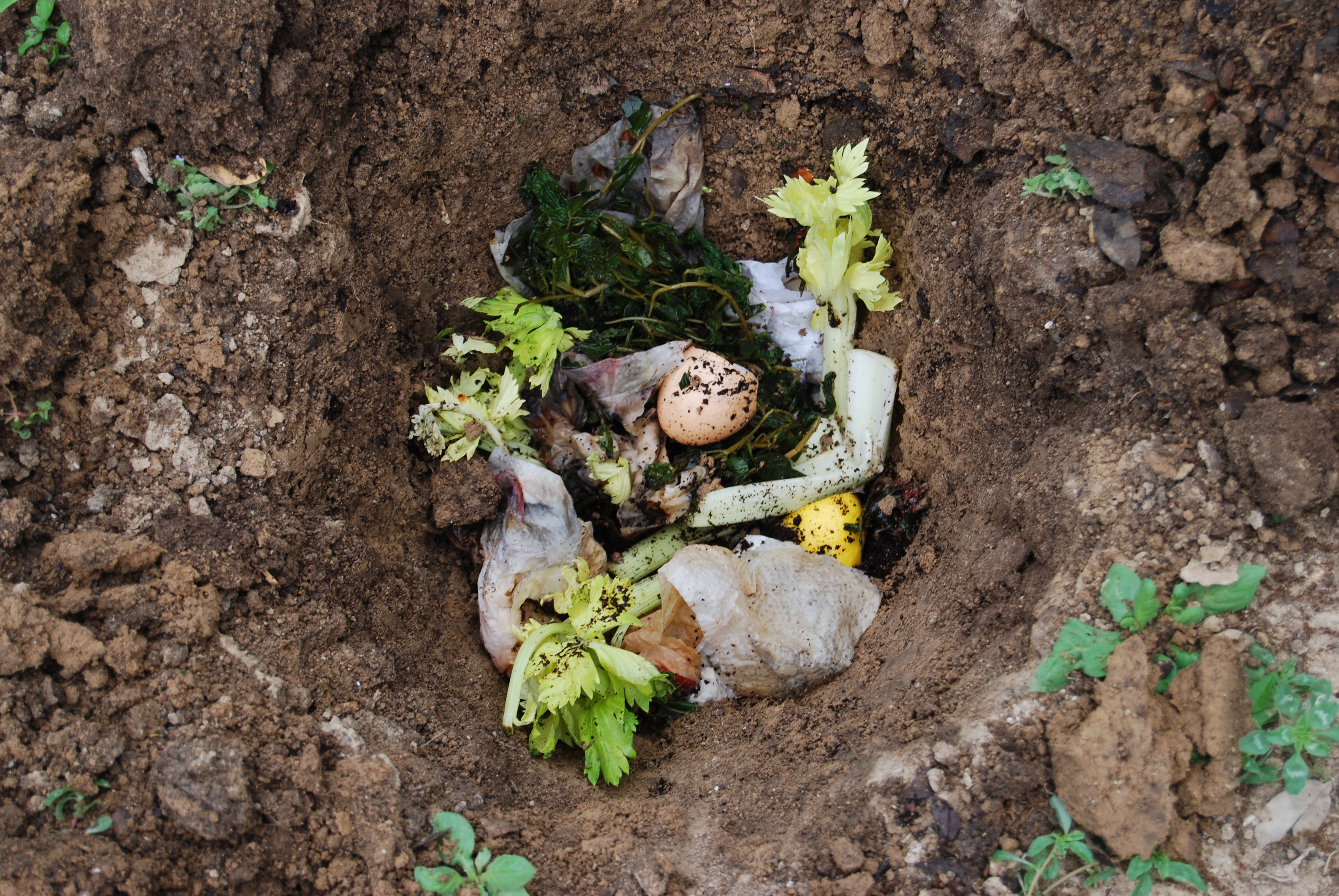Compost Digging Trench or “Hole” Composting | The Peterborough & Area Master Gardeners