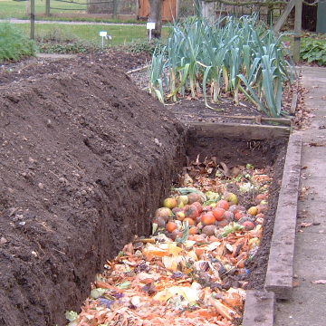 compost-trench