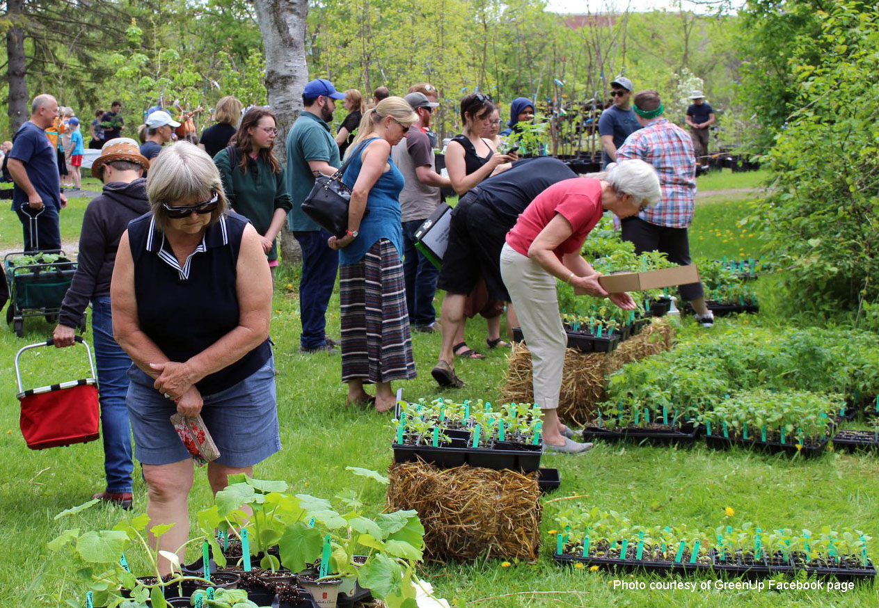 plantsalecourtesyofGreenUpFBpage