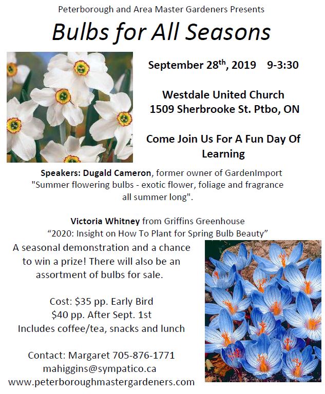 bulbs poster final 2019