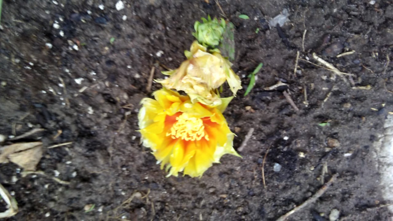 thumbnail_2019-07-17 July182019 004