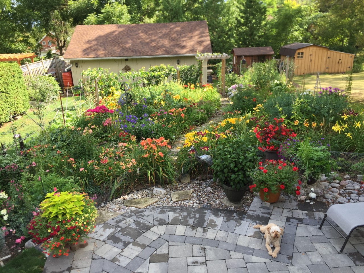 thumbnail_Garden in August