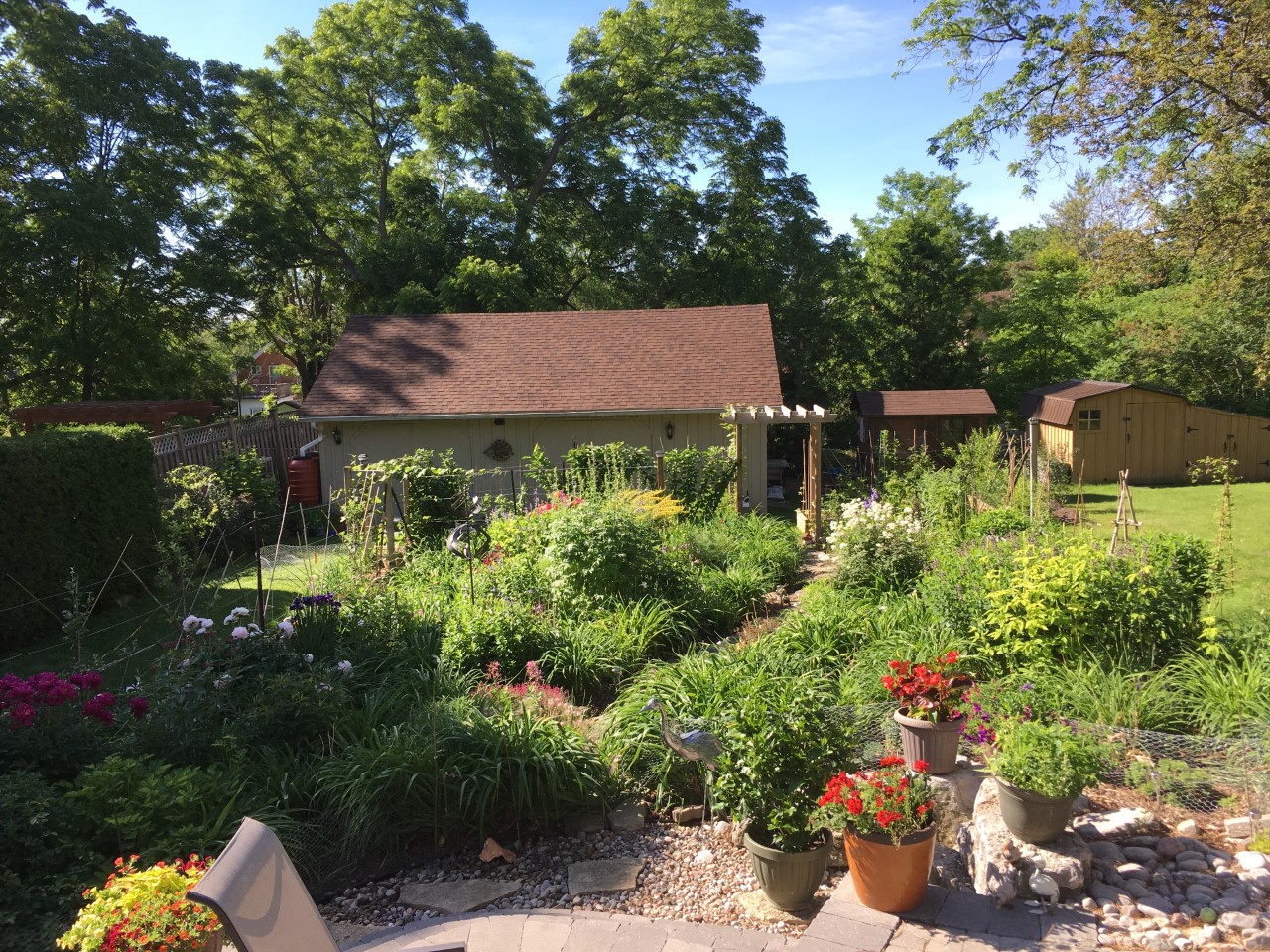 thumbnail_garden in latespring