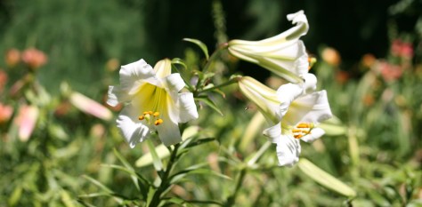 houseonriver 033 (2)