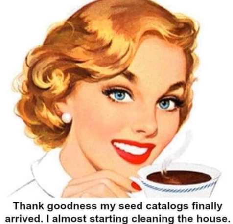 80668913_593105334822382_5245713304025825280_n