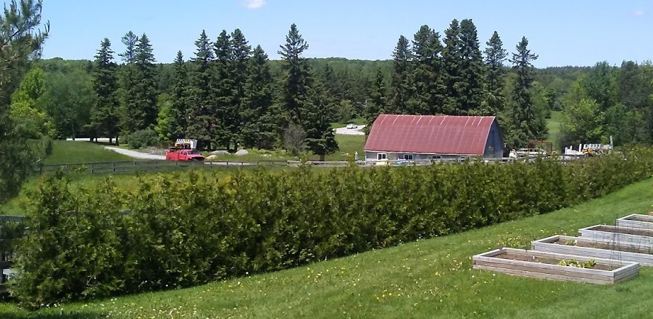 2019-Smith-8' 3rd season-2