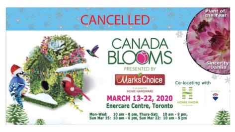 90116313_3010310689020706_8668654371803758592_o