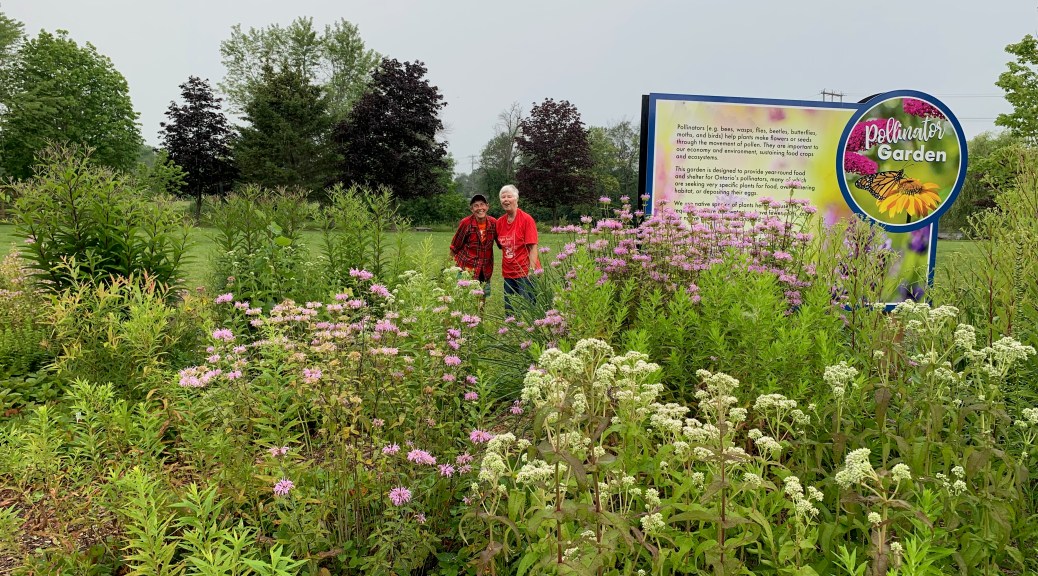 McNamara Park Pollinator Garden