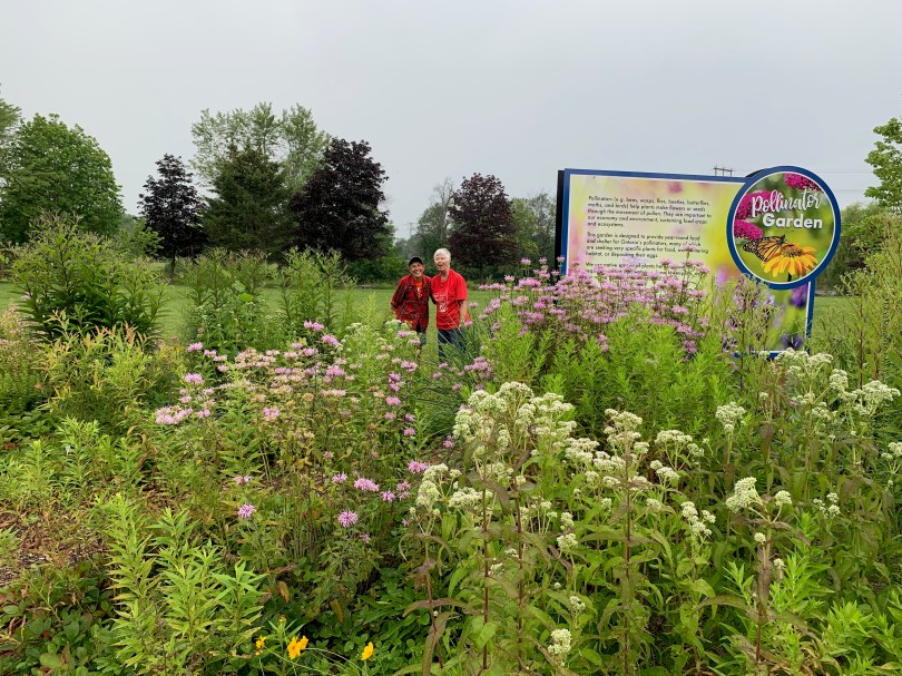 McNamara Park Pollinator Garden