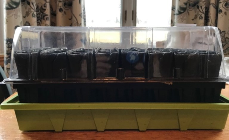 Root Racking Rediscovering an Old-Fashioned Favourite | The Peterborough & Area ...