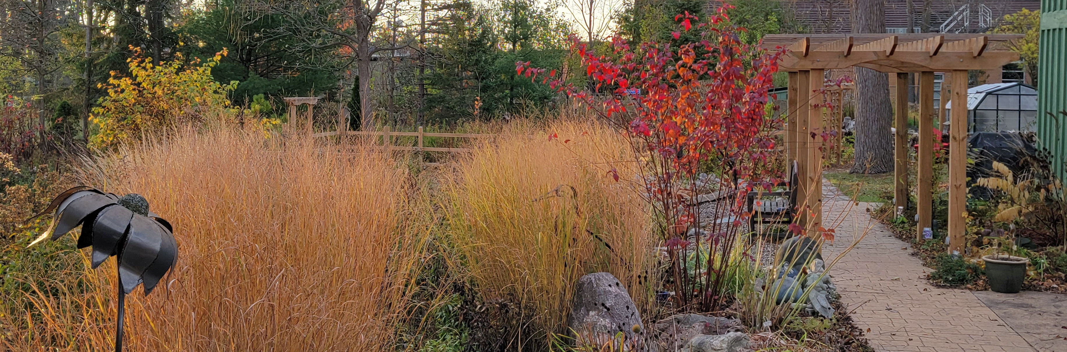 Fall is the New Spring…It’s Time to Plant | The Peterborough & Area ...