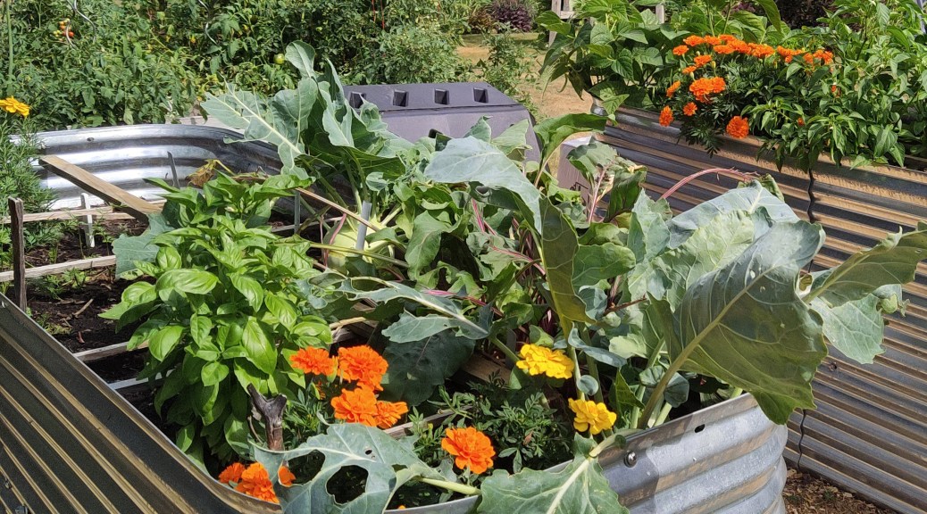 metal raised bed with flowers and vegetables